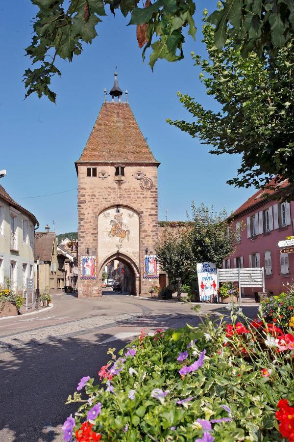 L'ours De Hotel